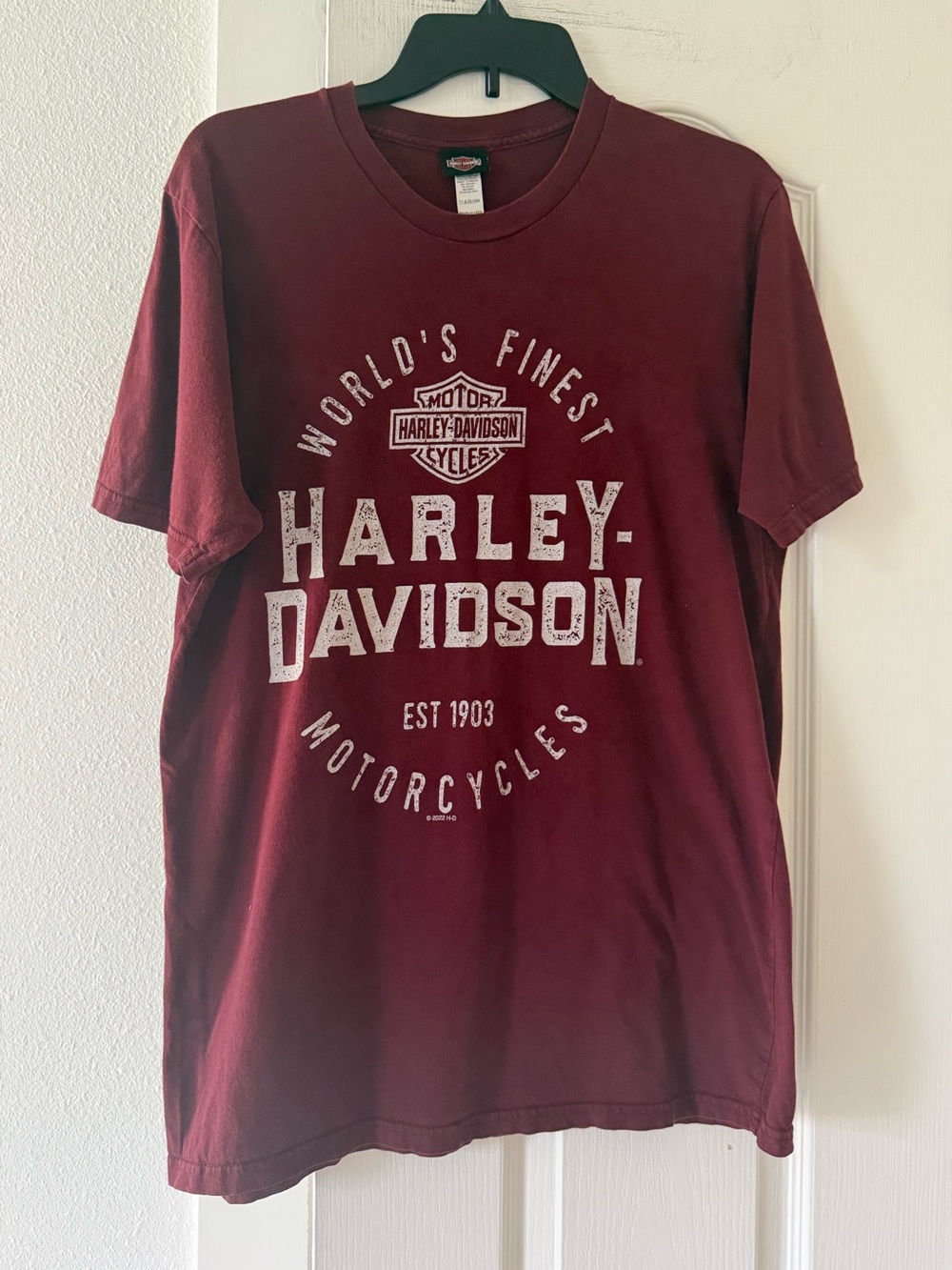 Harley Davidson Chimney Rock NC Men’s L Burgundy Graphic T-Shirt